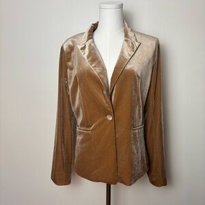 Molly Bracken Velour Blazer Single breasted Notched Lapels 2 Welt Pockets Sz S